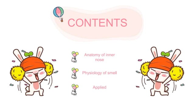 Physiology Of Smell 1 Pptx Ppt