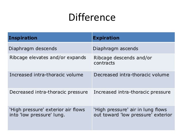 Difference Between Inspiration And Expiration In Hindi Physiology of speech