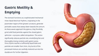 Comprehensive Physiology of the Stomach and Duodenum: Digestion ...