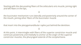Physiology of Stomatognathic System.pptx