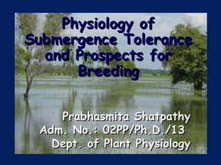 Physiology ofPhysiology of
Submergence ToleranceSubmergence Tolerance
and Prospects forand Prospects for
BreedingBreeding
Prabhasmita ShatpathyPrabhasmita Shatpathy
Adm. No.: 02PP/Ph.D./13Adm. No.: 02PP/Ph.D./13
Dept. of Plant PhysiologyDept. of Plant Physiology
 