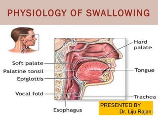 PHYSIOLOGY OF SWALLOWING
PRESENTED BY
Dr. Liju Rajan
 