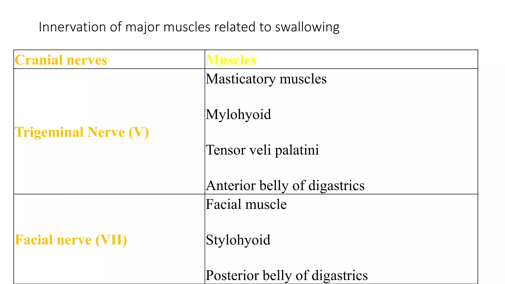 Innervation of major muscles related to swallowing
Cranial nerves Muscles
Trigeminal Nerve (V)
Masticatory muscles
Mylohyoid
Tensor veli palatini
Anterior belly of digastrics
Facial nerve (VII)
Facial muscle
Stylohyoid
Posterior belly of digastrics
 