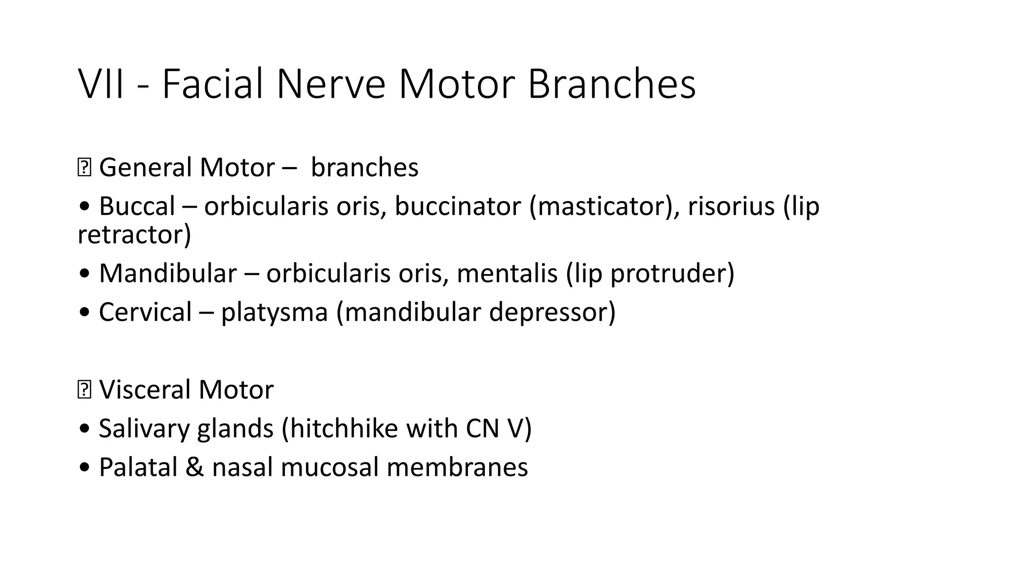 VII - Facial Nerve Motor Branches
􀂄 General Motor – branches
• Buccal – orbicularis oris, buccinator (masticator), risorius (lip
retractor)
• Mandibular – orbicularis oris, mentalis (lip protruder)
• Cervical – platysma (mandibular depressor)
􀂄 Visceral Motor
• Salivary glands (hitchhike with CN V)
• Palatal & nasal mucosal membranes
 