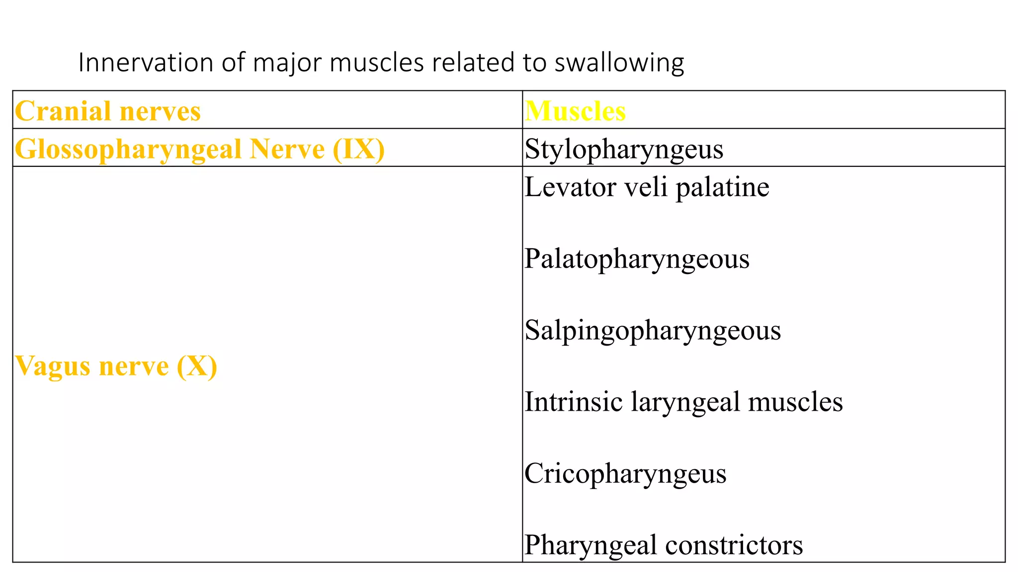 Cranial nerves Muscles
Glossopharyngeal Nerve (IX) Stylopharyngeus
Vagus nerve (X)
Levator veli palatine
Palatopharyngeous
Salpingopharyngeous
Intrinsic laryngeal muscles
Cricopharyngeus
Pharyngeal constrictors
Innervation of major muscles related to swallowing
 