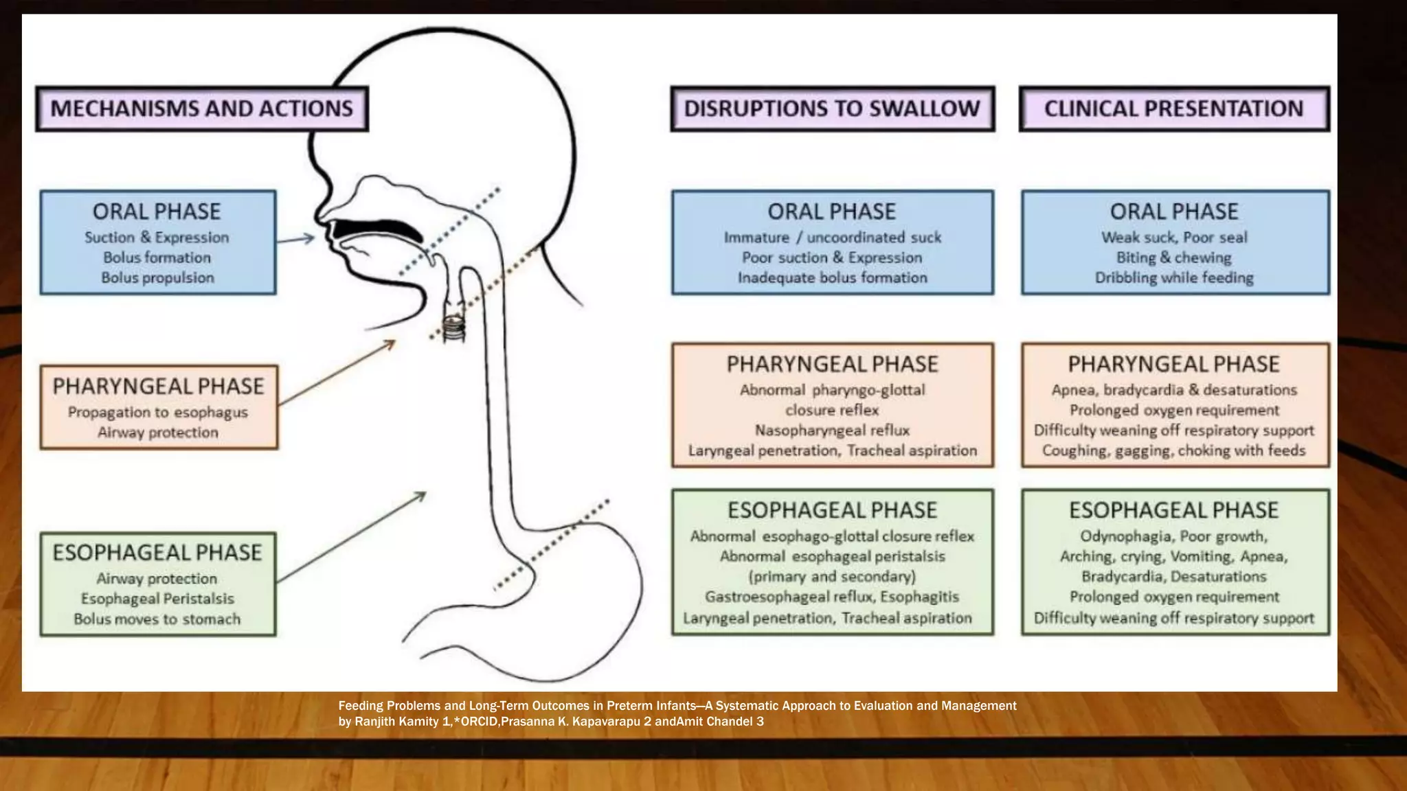 Physiology of swallowing ppt | PPTX