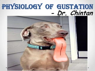 Physiology of Gustation
- Dr. Chintan
 