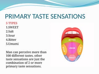 Comprehensive Overview of the Physiology of Taste and Gustatory ...