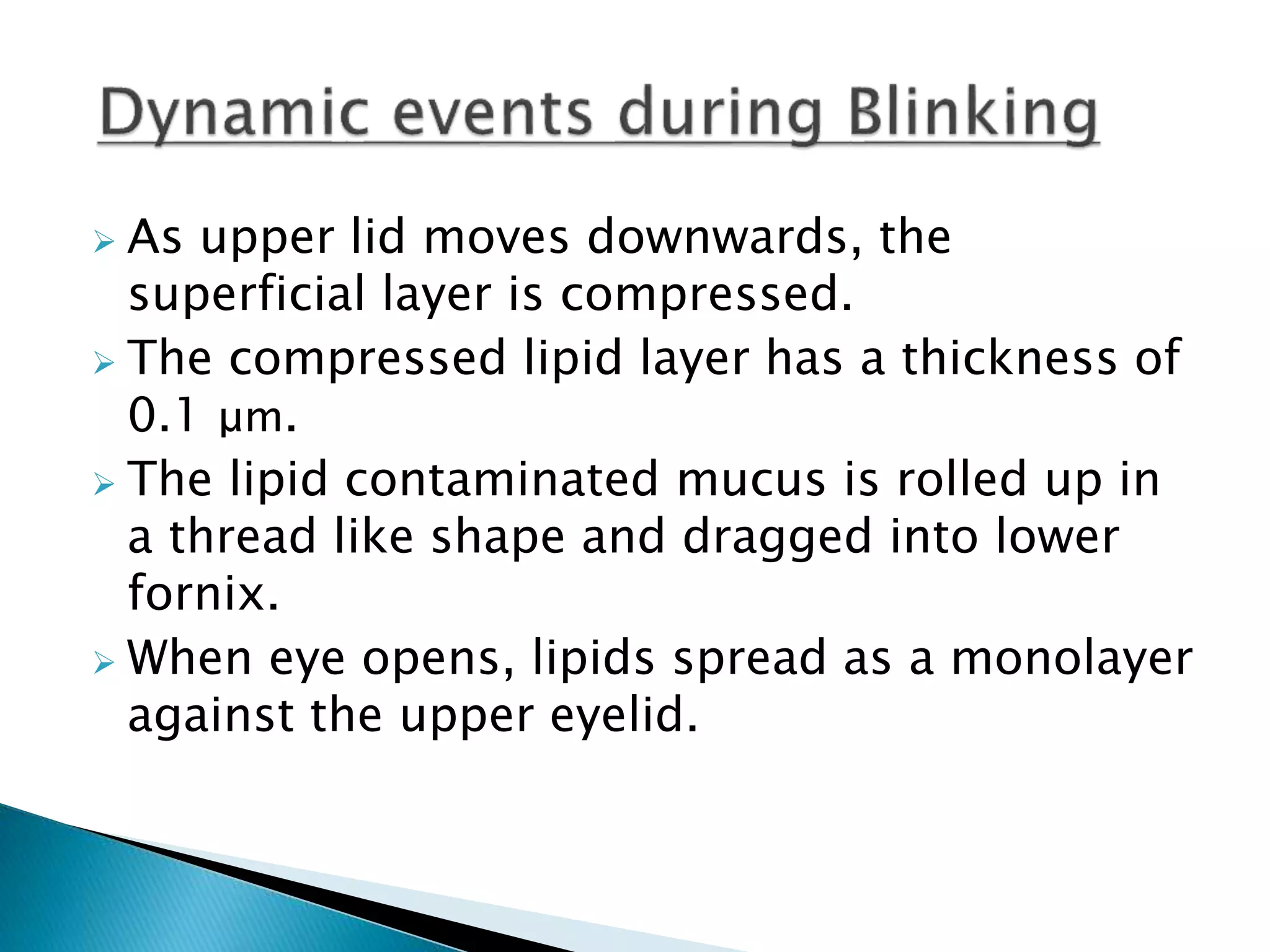  As upper lid moves downwards, the
superficial layer is compressed.
 The compressed lipid layer has a thickness of
0.1 μm.
 The lipid contaminated mucus is rolled up in
a thread like shape and dragged into lower
fornix.
 When eye opens, lipids spread as a monolayer
against the upper eyelid.
 