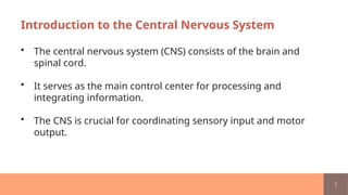 Physiology Of Thecentral Nervous System.pptx