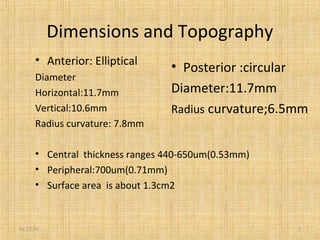 Peripheral Dimension Physiology of the cornea | PPT