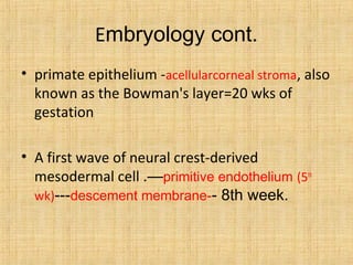 Cresting Primates Physiology of the cornea | PPT