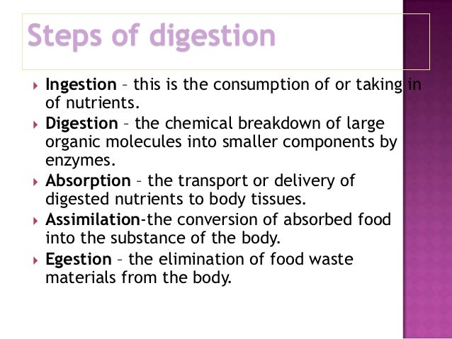 5 Steps Of Digestion - Spesial 5