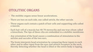 Utricle Function Physiology of the ear | PPTX