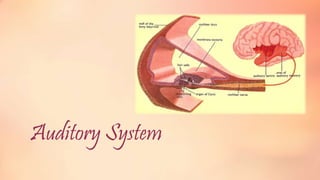 Physiology of the ear | PPTX