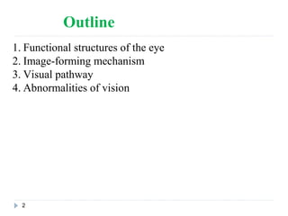 Physiology of the eye | PPT
