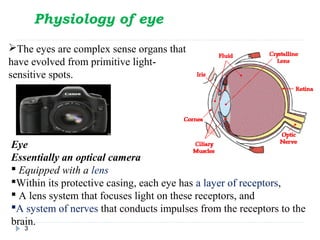 Physiology of the eye | PPT