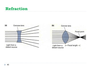Physiology of the eye | PPT
