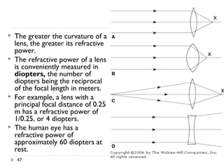 Physiology of the eye | PPT