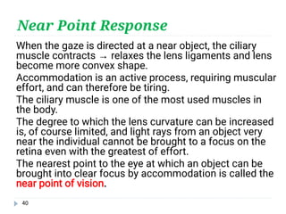 Comprehensive Physiology and Functional Anatomy of the Human Eye | PDF
