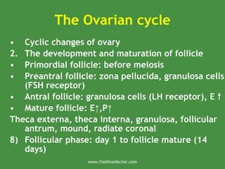 The Ovarian cycle
• Cyclic changes of ovary
2. The development and maturation of follicle
• Primordial follicle: before meiosis
• Preantral follicle: zona pellucida, granulosa cells
(FSH receptor)
• Antral follicle: granulosa cells (LH receptor), E↑
• Mature follicle: E ,P
↑ ↑
Theca externa, theca interna, granulosa, follicular
antrum, mound, radiate coronal
8) Follicular phase: day 1 to follicle mature (14
days)
www.freelivedoctor.com
 