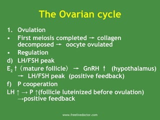 The Ovarian cycle
1. Ovulation
• First meiosis completed → collagen
decomposed → oocyte ovulated
• Regulation
d) LH/FSH peak
E2↑(mature follicle) → GnRH ↑ (hypothalamus)
→ LH/FSH peak (positive feedback)
f) P cooperation
LH P (follicle luteinized before ovulation)
↑ → ↑
positive feedback
→
www.freelivedoctor.com
 