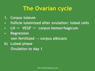 The Ovarian cycle
1. Corpus luteum
• follicle luteinized after ovulation: luteal cells
• LH → VEGF → corpus hemorrhagicum
• Regression
non fertilized corpus albicans
→
6) Luteal phase
Ovulation to day 1
www.freelivedoctor.com
 