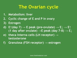 The Ovarian cycle
1. Metabolism: liver
2. Cyclic change of E and P in ovary
3) Estrogen
d) E (day 7) E peak (pre-ovulate) E E
↑ → → ↓ → ↑
(1 day after ovulate) E peak (day 7-8) E
→ → ↓
e) theca interna cells (LH receptor) →
testosterone
f) Granulosa (FSH receptor) estrogen
→
www.freelivedoctor.com
 