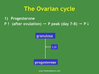 The Ovarian cycle
1) Progesterone
P↑ (after ovulation) → P peak (day 7-8) → P↓
granulosa
progesterone
LH
www.freelivedoctor.com
 