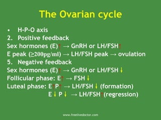 The Ovarian cycle
• H-P-O axis
2. Positive feedback
Sex hormones (E)↑ GnRH or LH/FSH
→ ↑
E peak (≥200pg/ml) LH/FSH peak ovulation
→ →
5. Negative feedback
Sex hormones (E)↑ GnRH or LH/FSH
→ ↓
Follicular phase: E↑ FSH
→ ↓
Luteal phase: E↑P↑ LH/FSH
→ ↓(formation)
E↓P↓ LH/FSH
→ ↑(regression)
www.freelivedoctor.com
 