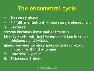 The endometral cycle
• Secretory phase
• P↑(differentiation) → secretory endometrium
3. Features
stroma becomes loose and edematous
blood vessels entering the endometrium become
thickened and twisted
glands become tortuous and contain secretory
material within the lumina
7. Duration: 2 weeks
8. Thickness: 5-6mm
www.freelivedoctor.com
 
