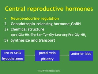 Central reproductive hormones
• Neuroendocrine regulation
2. Gonadotropin-releasing hormone,GnRH
3) chemical structure
(pro)Glu-His-Trp-Ser-Tyr-Gly-Leu-Arg-Pro-Gly-NH2
5) Synthesize and transport
nerve cells
hypothalamus
portal vein
pitutary
anterior lobe
www.freelivedoctor.com
 