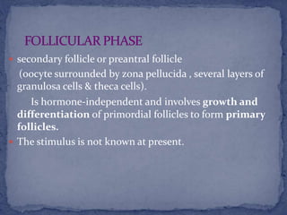  secondary follicle or preantral follicle
(oocyte surrounded by zona pellucida , several layers of
granulosa cells & theca cells).
Is hormone-independent and involves growth and
differentiation of primordial follicles to form primary
follicles.
 The stimulus is not known at present.
 