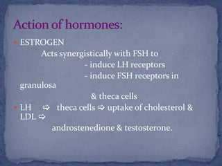  ESTROGEN
Acts synergistically with FSH to
- induce LH receptors
- induce FSH receptors in
granulosa
& theca cells
 LH  theca cells  uptake of cholesterol &
LDL 
androstenedione & testosterone.
 
