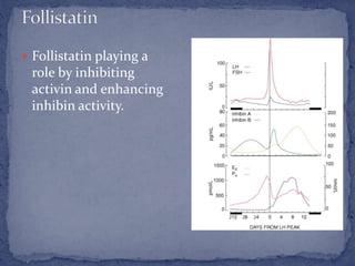 Follistatin playing a
role by inhibiting
activin and enhancing
inhibin activity.
 