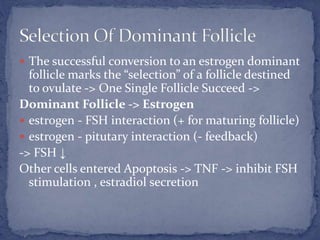  The successful conversion to an estrogen dominant
follicle marks the “selection” of a follicle destined
to ovulate -> One Single Follicle Succeed ->
Dominant Follicle -> Estrogen
 estrogen - FSH interaction (+ for maturing follicle)
 estrogen - pitutary interaction (- feedback)
-> FSH ↓
Other cells entered Apoptosis -> TNF -> inhibit FSH
stimulation , estradiol secretion
 