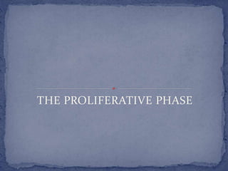THE PROLIFERATIVE PHASE
 