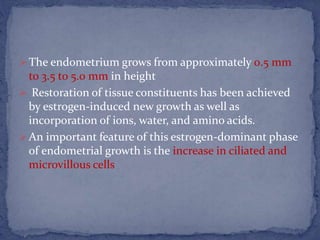  The endometrium grows from approximately 0.5 mm
to 3.5 to 5.0 mm in height
 Restoration of tissue constituents has been achieved
by estrogen-induced new growth as well as
incorporation of ions, water, and amino acids.
 An important feature of this estrogen-dominant phase
of endometrial growth is the increase in ciliated and
microvillous cells
 