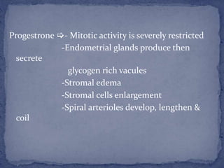 Progestrone - Mitotic activity is severely restricted
-Endometrial glands produce then
secrete
glycogen rich vacules
-Stromal edema
-Stromal cells enlargement
-Spiral arterioles develop, lengthen &
coil
 