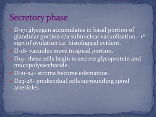  D-17: glycogen accumulates in basal portion of
glandular portion c/a subnuclear vacuolisation.- 1st
sign of ovulation i.e. histological evident.
 D-18- vacuoles move to apical portion.
 D19- these cells begin to secrete glycoprotein and
mucopolysaccharide.
 D-21-24- stroma become edematous.
 D23-28- predecidual cells surrounding spiral
arterioles.
 