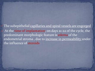  The subepithelial capillaries and spiral vessels are engorged
 At the time of implantation, on days 21-22 of the cycle, the
predominant morphologic feature is edema of the
endometrial stroma , due to increase in permeability under
the influence of steroids
 