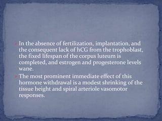  In the absence of fertilization, implantation, and
the consequent lack of hCG from the trophoblast,
the fixed lifespan of the corpus luteum is
completed, and estrogen and progesterone levels
wane.
 The most prominent immediate effect of this
hormone withdrawal is a modest shrinking of the
tissue height and spiral arteriole vasomotor
responses.
 