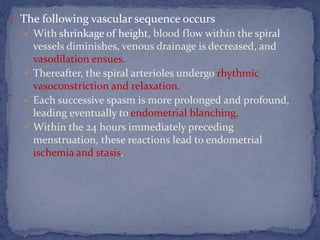 The following vascular sequence occurs
 With shrinkage of height, blood flow within the spiral
vessels diminishes, venous drainage is decreased, and
vasodilation ensues.
 Thereafter, the spiral arterioles undergo rhythmic
vasoconstriction and relaxation.
 Each successive spasm is more prolonged and profound,
leading eventually to endometrial blanching.
 Within the 24 hours immediately preceding
menstruation, these reactions lead to endometrial
ischemia and stasis.
 