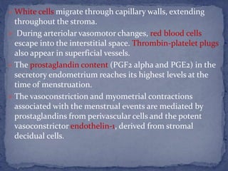 White cells migrate through capillary walls, extending
throughout the stroma.
 During arteriolar vasomotor changes, red blood cells
escape into the interstitial space. Thrombin-platelet plugs
also appear in superficial vessels.
 The prostaglandin content (PGF2 alpha and PGE2) in the
secretory endometrium reaches its highest levels at the
time of menstruation.
 The vasoconstriction and myometrial contractions
associated with the menstrual events are mediated by
prostaglandins from perivascular cells and the potent
vasoconstrictor endothelin-1, derived from stromal
decidual cells.
 