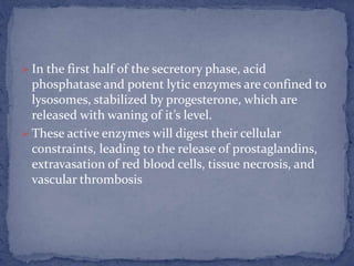  In the first half of the secretory phase, acid
phosphatase and potent lytic enzymes are confined to
lysosomes, stabilized by progesterone, which are
released with waning of it’s level.
 These active enzymes will digest their cellular
constraints, leading to the release of prostaglandins,
extravasation of red blood cells, tissue necrosis, and
vascular thrombosis
 