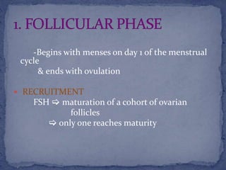 -Begins with menses on day 1 of the menstrual
cycle
& ends with ovulation
 RECRUITMENT
FSH  maturation of a cohort of ovarian
follicles
 only one reaches maturity
 