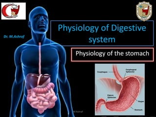 Physiology of Digestive
system
Physiology of the stomach
Dr. M.Ashraf
M.Ashraf
 