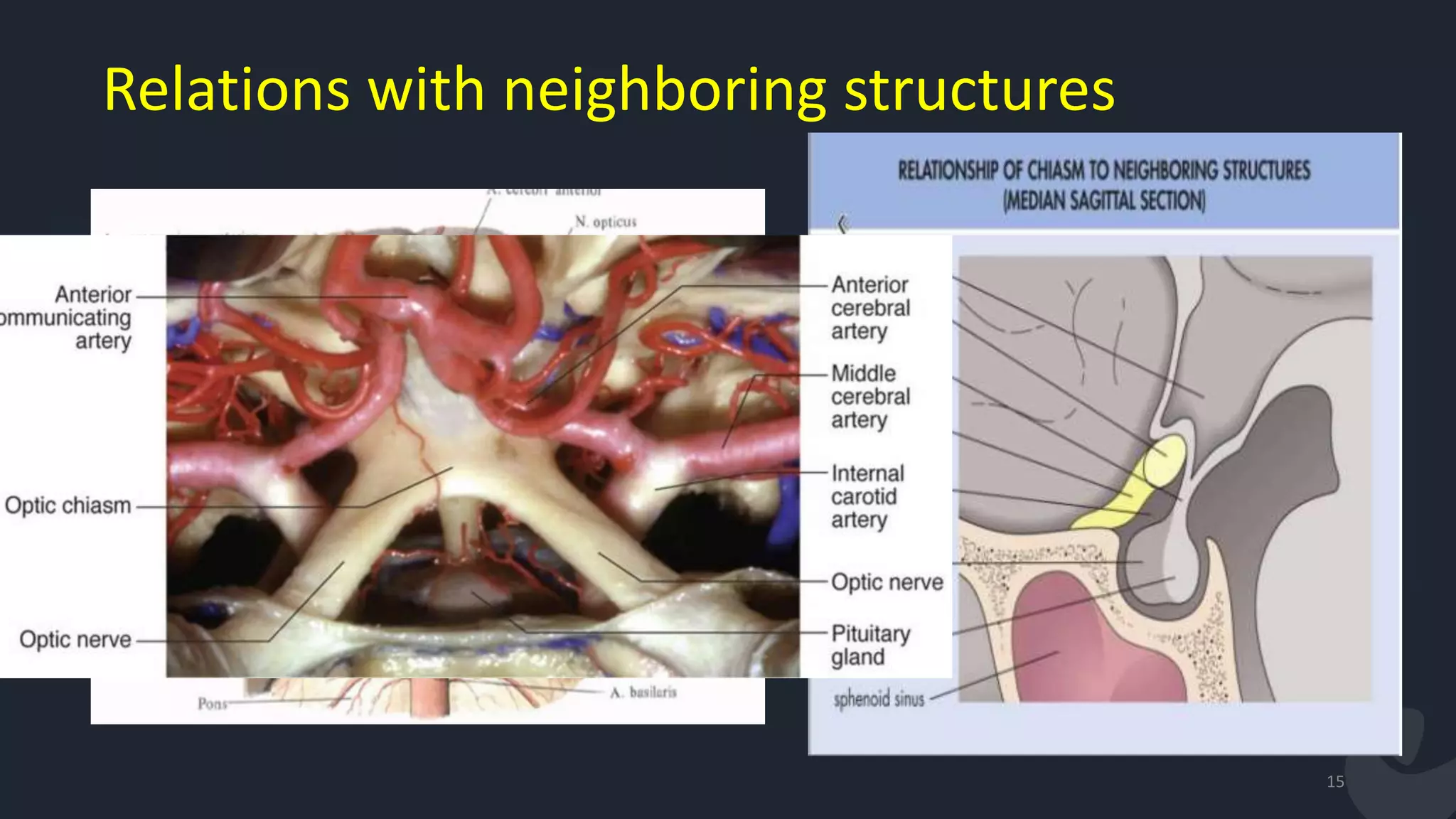 Relations with neighboring structures
15
 