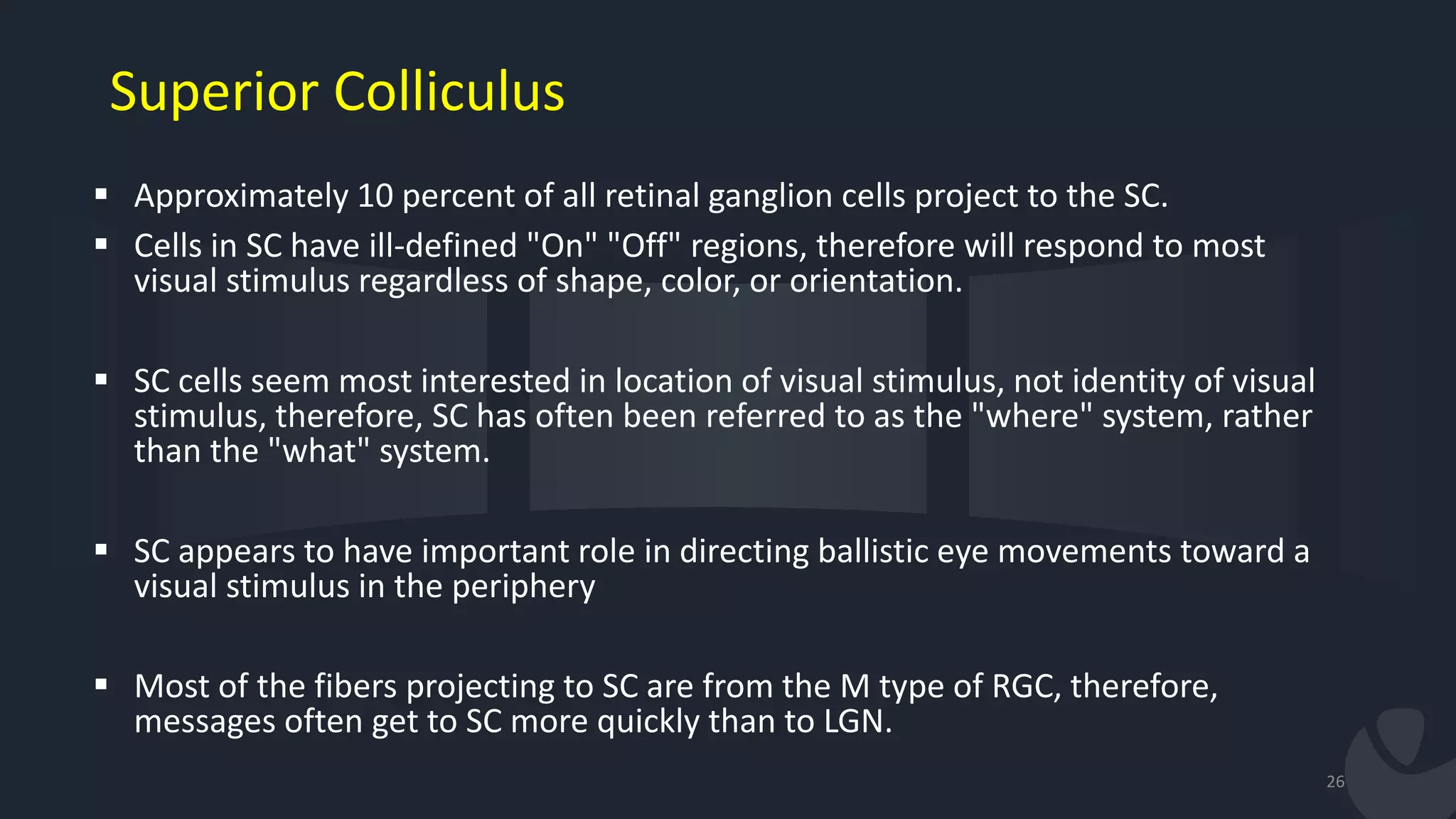 Superior Colliculus
26
 Approximately 10 percent of all retinal ganglion cells project to the SC.
 Cells in SC have ill-defined "On" "Off" regions, therefore will respond to most
visual stimulus regardless of shape, color, or orientation.
 SC cells seem most interested in location of visual stimulus, not identity of visual
stimulus, therefore, SC has often been referred to as the "where" system, rather
than the "what" system.
 SC appears to have important role in directing ballistic eye movements toward a
visual stimulus in the periphery
 Most of the fibers projecting to SC are from the M type of RGC, therefore,
messages often get to SC more quickly than to LGN.
 