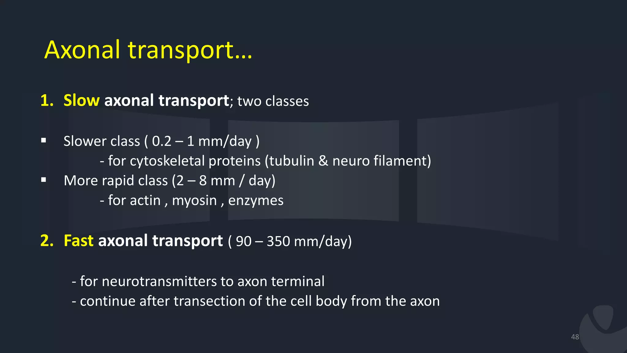 1. Slow axonal transport; two classes
 Slower class ( 0.2 – 1 mm/day )
- for cytoskeletal proteins (tubulin & neuro filament)
 More rapid class (2 – 8 mm / day)
- for actin , myosin , enzymes
2. Fast axonal transport ( 90 – 350 mm/day)
- for neurotransmitters to axon terminal
- continue after transection of the cell body from the axon
48
Axonal transport…
 